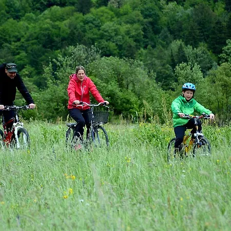 Διαμέρισμα Apartma Podgornik